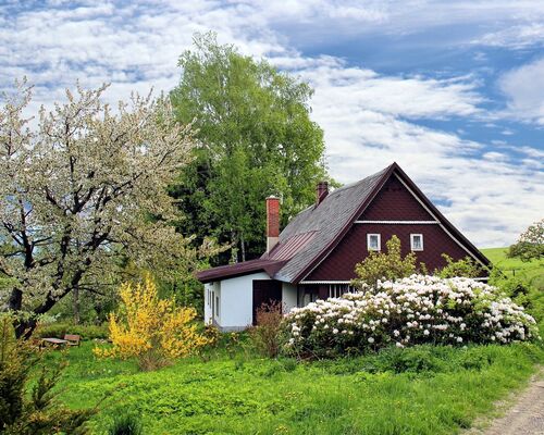 spring-2955582_1920